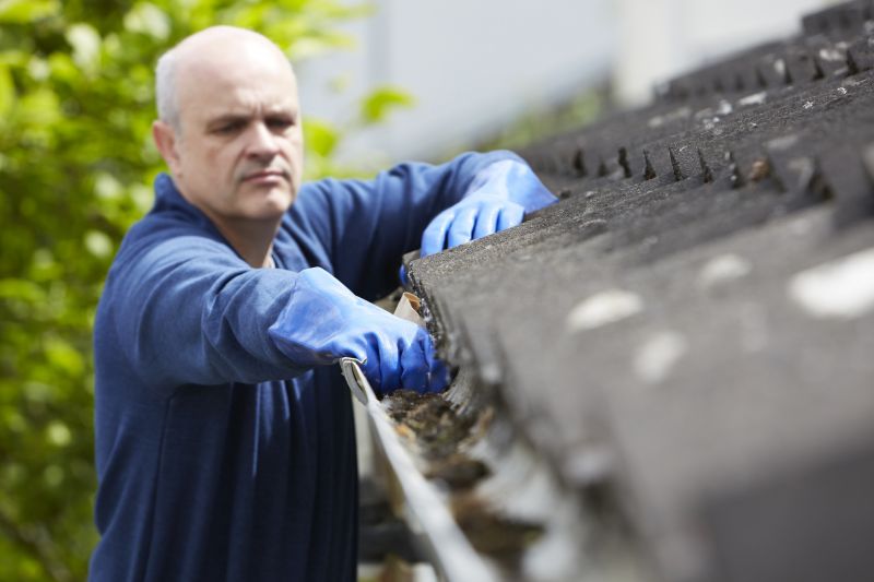 Inspecting Gutter Systems