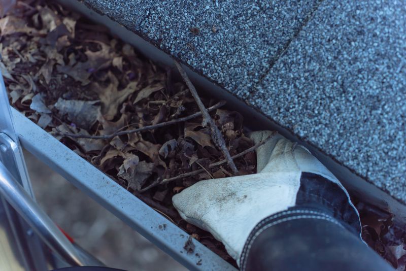 Commercial Gutter Maintenance