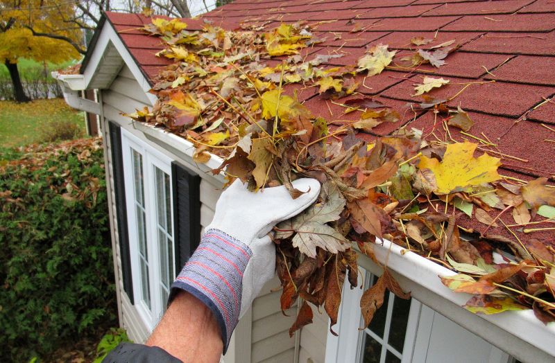 Fall Gutter Maintenance